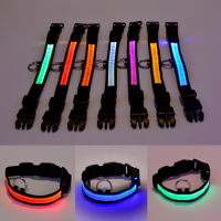 Light Up Dog Collars