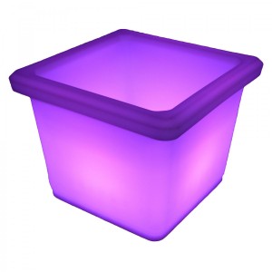 pot 11 purple